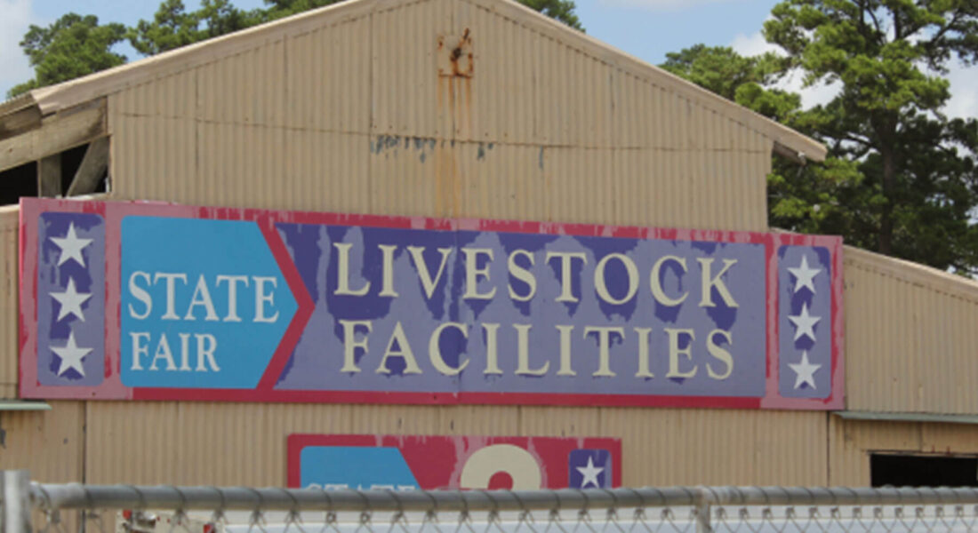 Bidding Terms and Conditions