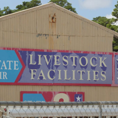 Bidding Terms and Conditions