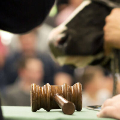 How to bid on AMA Auctions